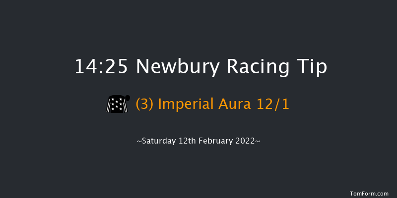 Newbury 14:25 Conditions Chase (Class 1) 23f Wed 19th Jan 2022