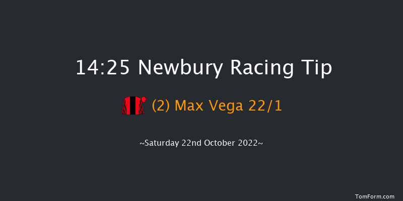 Newbury 14:25 Group 3 (Class 1) 12f Fri 21st Oct 2022