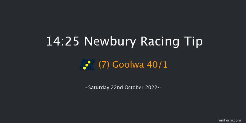 Newbury 14:25 Group 3 (Class 1) 12f Fri 21st Oct 2022