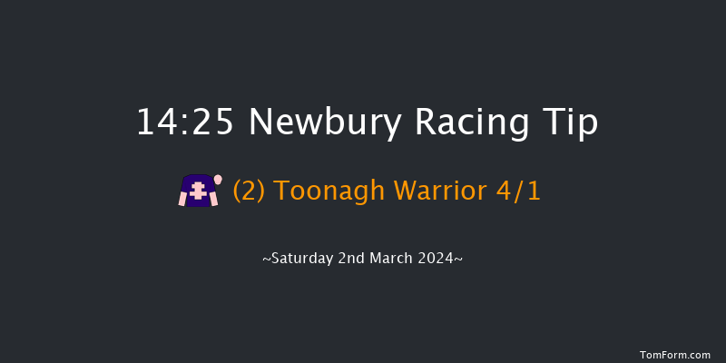 Newbury  14:25 Handicap Hurdle (Class 4)
16f Fri 1st Mar 2024