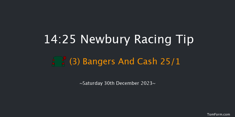 Newbury 14:25 Handicap Chase (Class 3) 26f Wed 20th Dec 2023