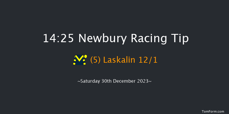 Newbury 14:25 Handicap Chase (Class 3) 26f Wed 20th Dec 2023