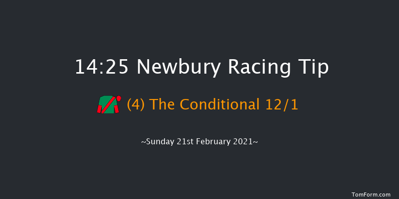 Betfair Denman Chase (Grade 2) (GBB Race) Newbury 14:25 Conditions Chase (Class 1) 23f Wed 20th Jan 2021