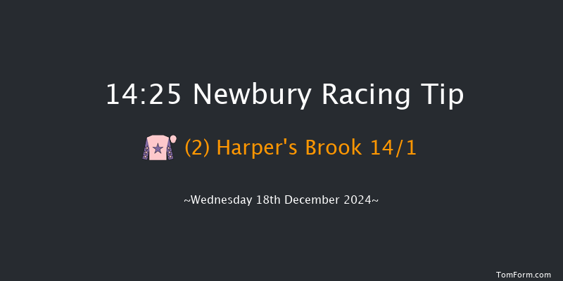 Newbury  14:25 Handicap Chase (Class 3) 16f Sat 30th Nov 2024