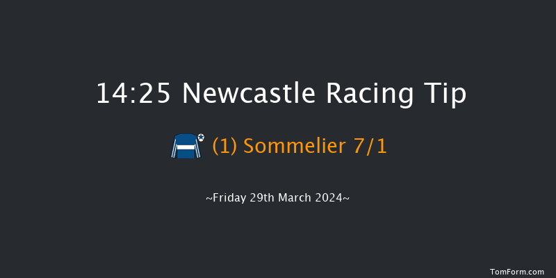 Newcastle  14:25 Handicap (Class 2) 6f Tue 26th Mar 2024