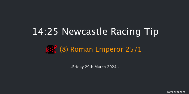 Newcastle  14:25 Handicap (Class 2) 6f Tue 26th Mar 2024