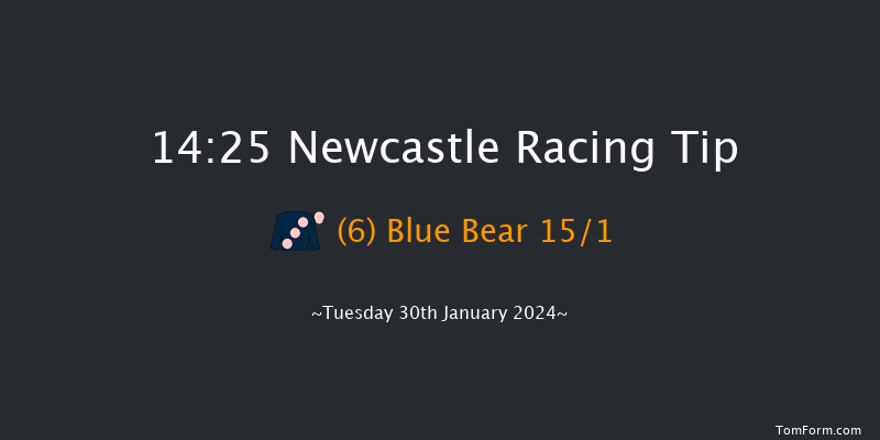 Newcastle  14:25 Handicap Chase (Class 5)
16f Sat 27th Jan 2024