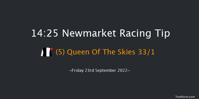 Newmarket 14:25 Group 3 (Class 1) 12f Thu 22nd Sep 2022