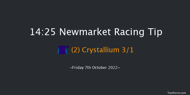 Newmarket 14:25 Group 3 (Class 1) 7f Sat 1st Oct 2022