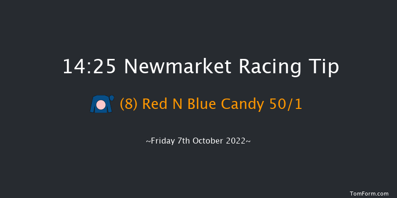 Newmarket 14:25 Group 3 (Class 1) 7f Sat 1st Oct 2022