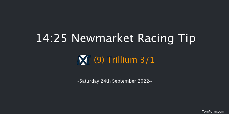 Newmarket 14:25 Group 1 (Class 1) 6f Fri 23rd Sep 2022