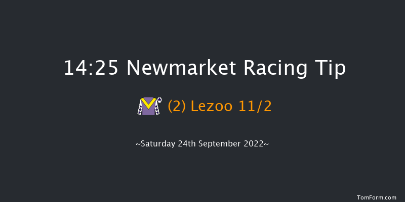 Newmarket 14:25 Group 1 (Class 1) 6f Fri 23rd Sep 2022