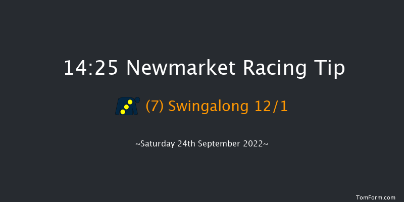 Newmarket 14:25 Group 1 (Class 1) 6f Fri 23rd Sep 2022