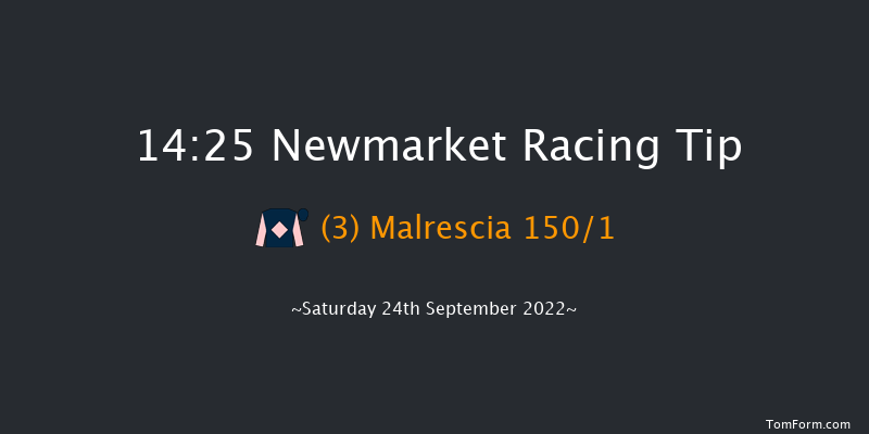 Newmarket 14:25 Group 1 (Class 1) 6f Fri 23rd Sep 2022