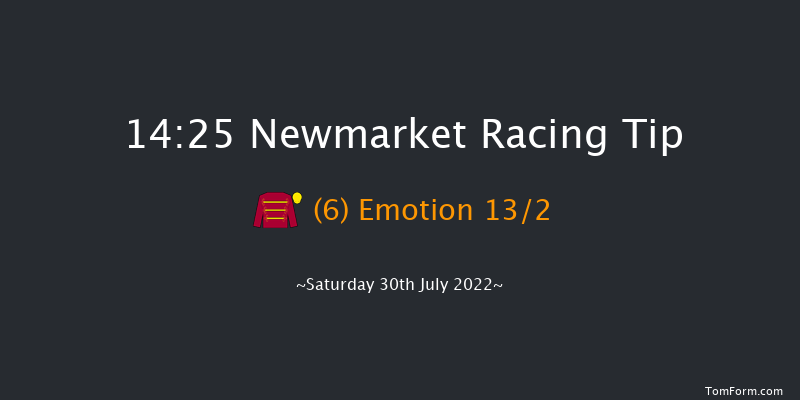 Newmarket 14:25 Listed (Class 1) 12f Fri 29th Jul 2022