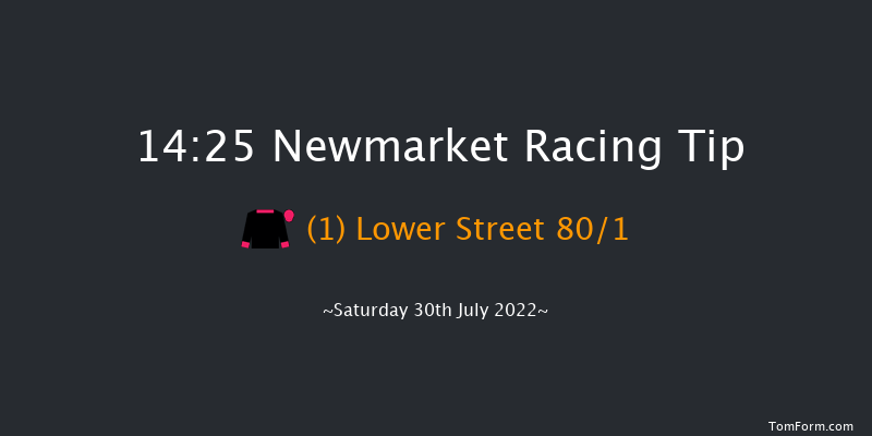 Newmarket 14:25 Listed (Class 1) 12f Fri 29th Jul 2022