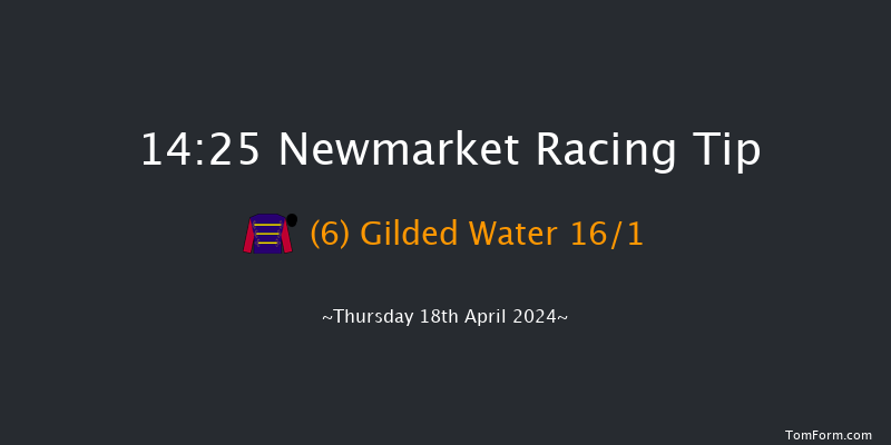 Newmarket  14:25 Maiden (Class 2) 8f Wed 17th Apr 2024