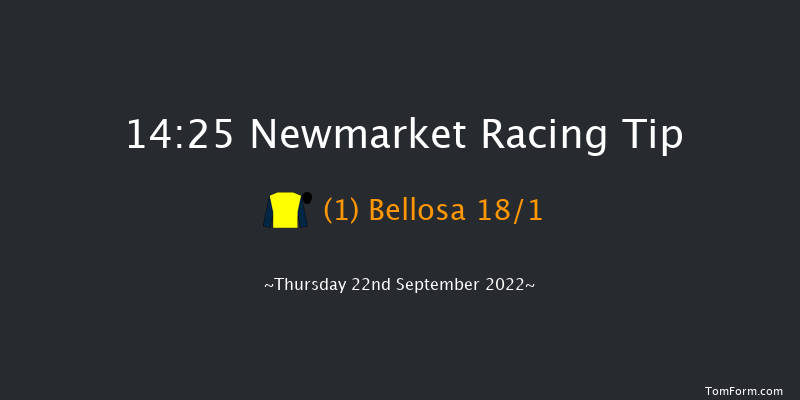 Newmarket 14:25 Handicap (Class 2) 6f Sat 17th Sep 2022