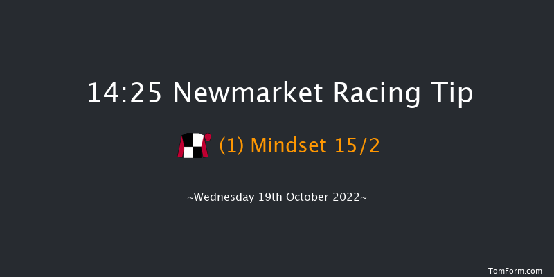 Newmarket 14:25 Stakes (Class 4) 7f Sat 8th Oct 2022