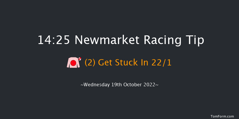 Newmarket 14:25 Stakes (Class 4) 7f Sat 8th Oct 2022