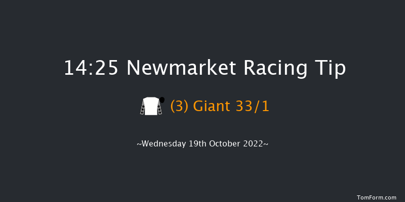 Newmarket 14:25 Stakes (Class 4) 7f Sat 8th Oct 2022