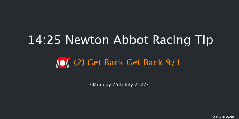 Newton Abbot 14:25 Handicap Hurdle (Class 3) 18f Sun 17th Jul 2022