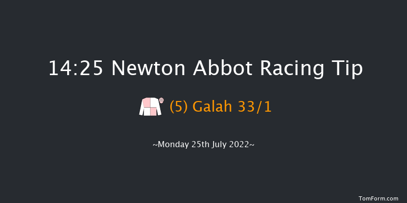 Newton Abbot 14:25 Handicap Hurdle (Class 3) 18f Sun 17th Jul 2022