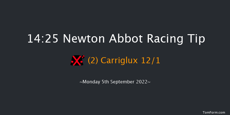 Newton Abbot 14:25 Maiden Hurdle (Class 3) 18f Tue 30th Aug 2022