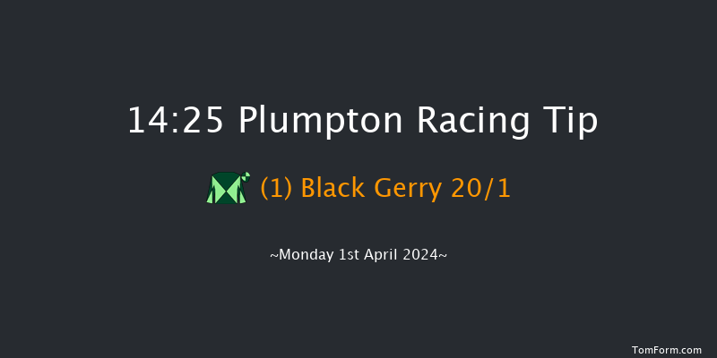 Plumpton  14:25 Handicap Chase (Class 2)
20f Sun 31st Mar 2024