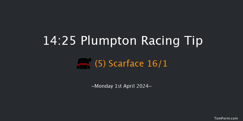 Plumpton  14:25 Handicap Chase (Class 2)
20f Sun 31st Mar 2024