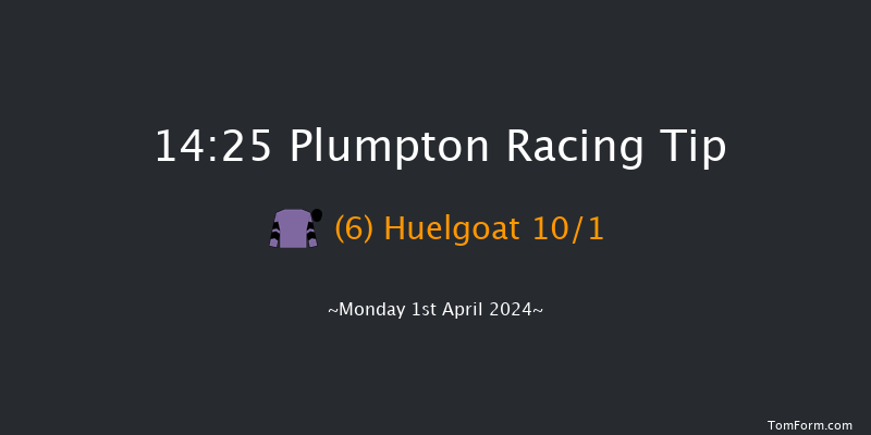 Plumpton  14:25 Handicap Chase (Class 2)
20f Sun 31st Mar 2024