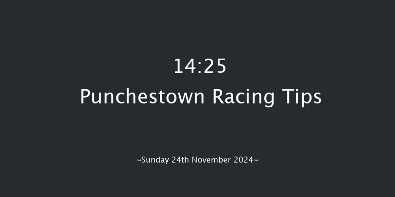 Punchestown  14:25 Conditions Chase 20f Sat 23rd Nov 2024