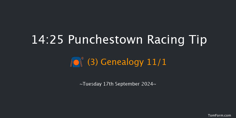 Punchestown  14:25 Maiden 8f Sun 9th Jun 2024