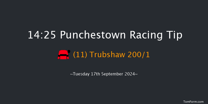 Punchestown  14:25 Maiden 8f Sun 9th Jun 2024