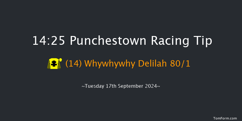 Punchestown  14:25 Maiden 8f Sun 9th Jun 2024