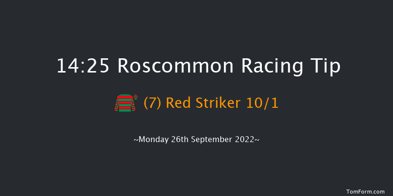 Roscommon 14:25 Handicap Hurdle 15f Mon 29th Aug 2022