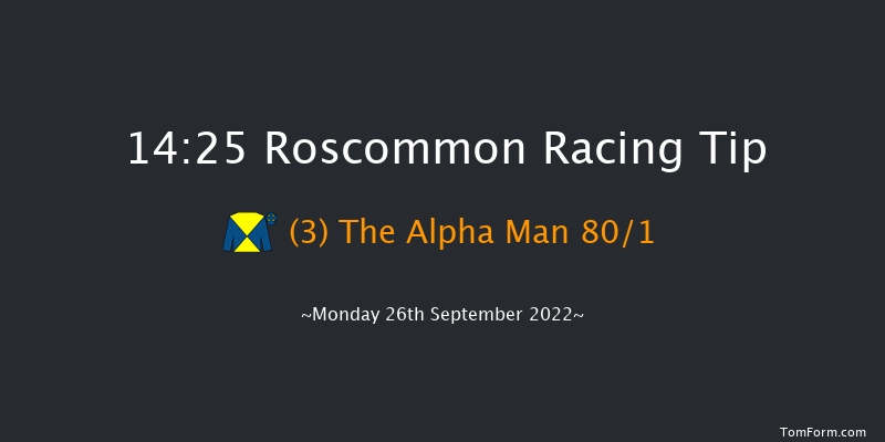 Roscommon 14:25 Handicap Hurdle 15f Mon 29th Aug 2022