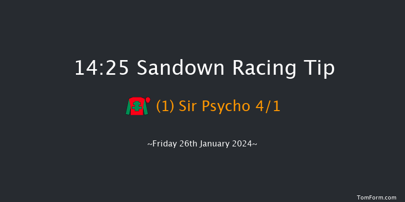 Sandown  14:25 Handicap Chase (Class 3) 15f Sat 9th Dec 2023