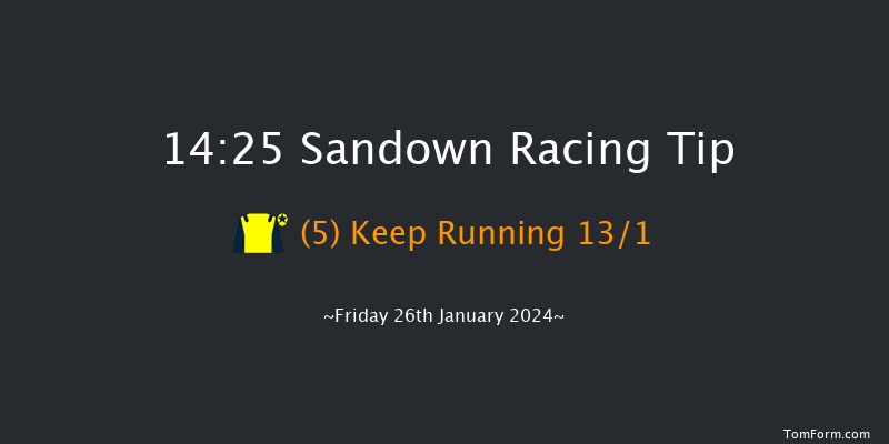 Sandown  14:25 Handicap Chase (Class 3) 15f Sat 9th Dec 2023