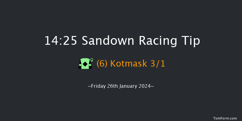 Sandown  14:25 Handicap Chase (Class 3) 15f Sat 9th Dec 2023