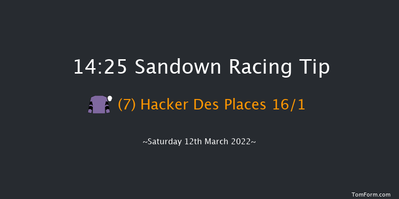 Sandown 14:25 Handicap Hurdle (Class 1) 16f Tue 8th Mar 2022