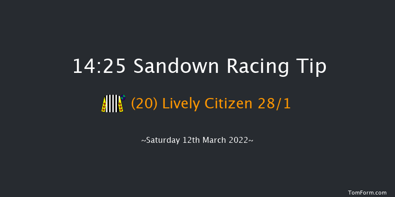 Sandown 14:25 Handicap Hurdle (Class 1) 16f Tue 8th Mar 2022