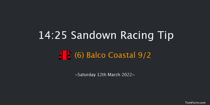 Sandown 14:25 Handicap Hurdle (Class 1) 16f Tue 8th Mar 2022