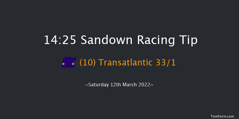 Sandown 14:25 Handicap Hurdle (Class 1) 16f Tue 8th Mar 2022