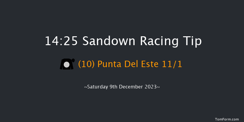 Sandown 14:25 Handicap Hurdle (Class 2) 16f Fri 8th Dec 2023