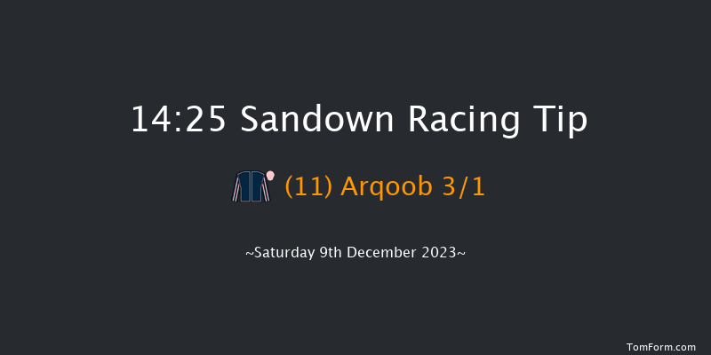 Sandown 14:25 Handicap Hurdle (Class 2) 16f Fri 8th Dec 2023