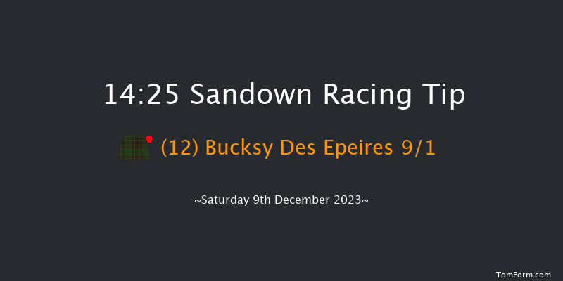 Sandown 14:25 Handicap Hurdle (Class 2) 16f Fri 8th Dec 2023