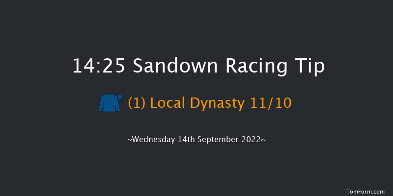 Sandown 14:25 Stakes (Class 4) 8f Sun 21st Aug 2022