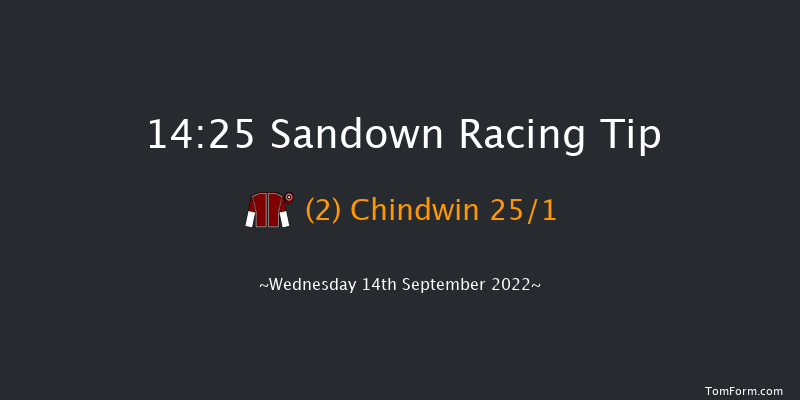 Sandown 14:25 Stakes (Class 4) 8f Sun 21st Aug 2022