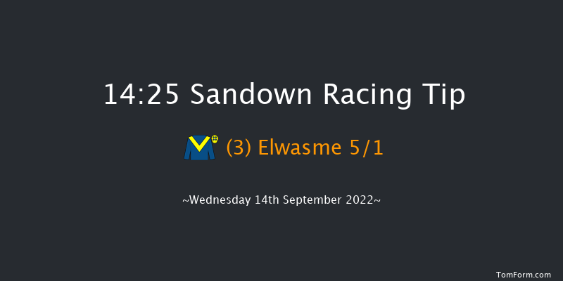 Sandown 14:25 Stakes (Class 4) 8f Sun 21st Aug 2022